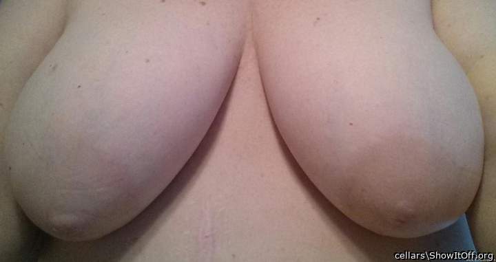 boobs