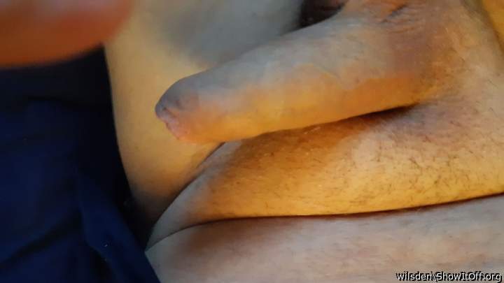 Adult image from wilsden