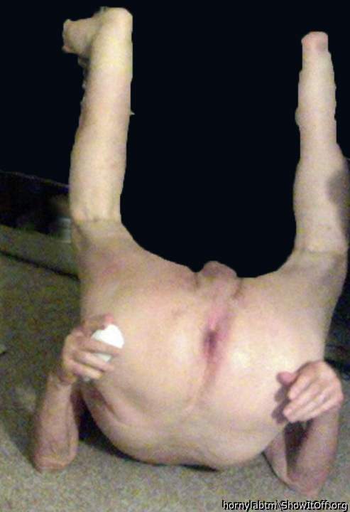 Adult image from hornylabtm