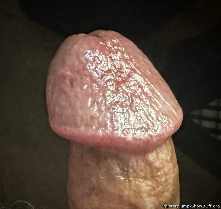 Adult image from misterplump