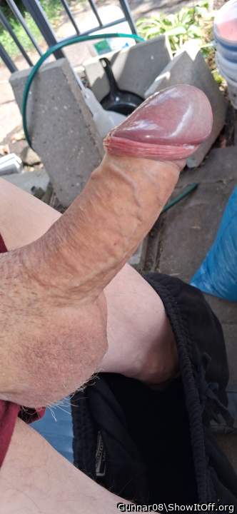 Adult image from Gunnar08