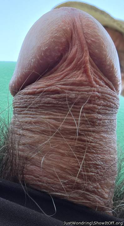 Adult image from JustWondring