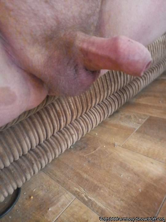 Adult image from Rob1988farmboy