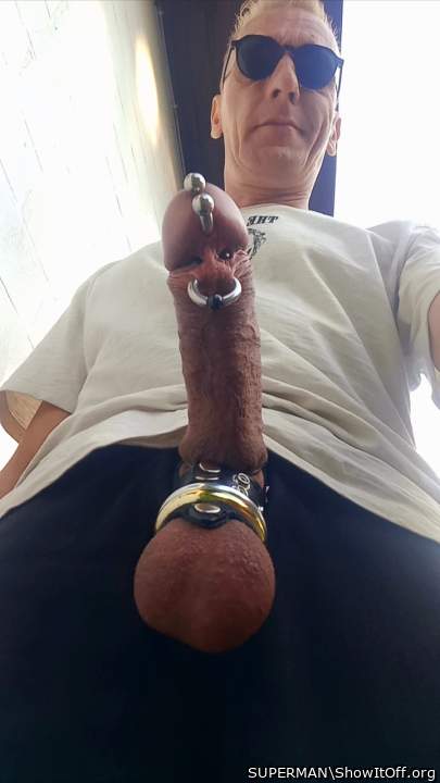 My Horny  Cock &#128521;