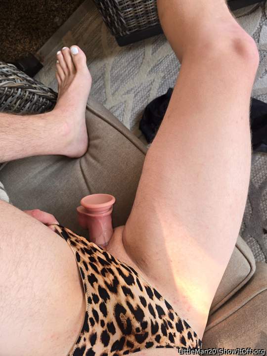 Adult image from LittleMan20