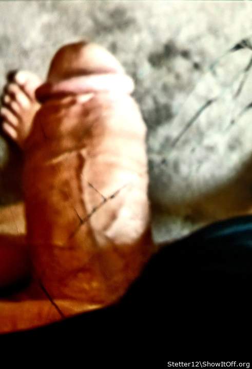 Adult image from Stetter12