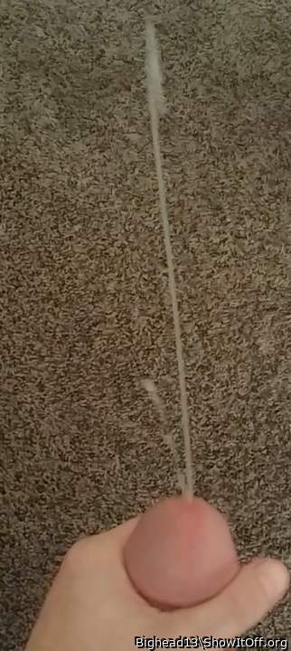 Adult image from Bighead13