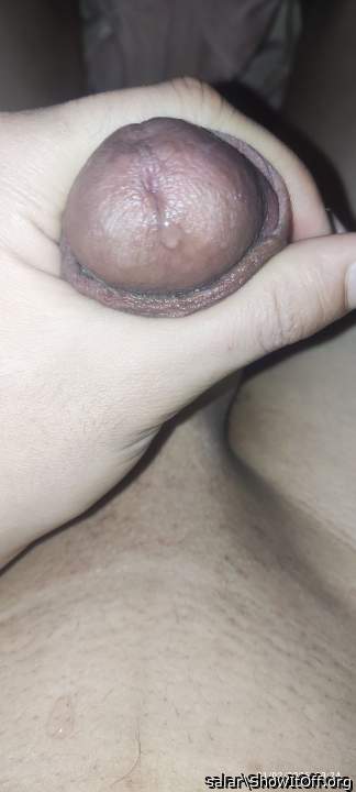 Adult image from salar