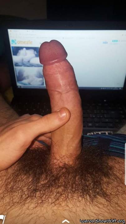 My Hd  cock