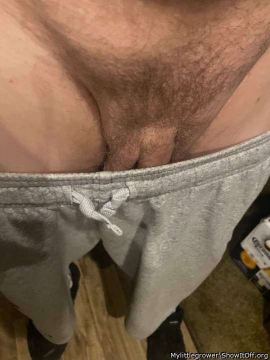 Adult image from Mylittlegrower