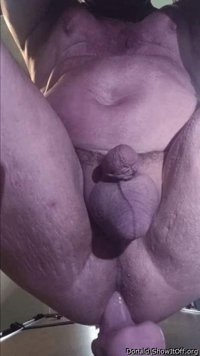 Adult image from Donald