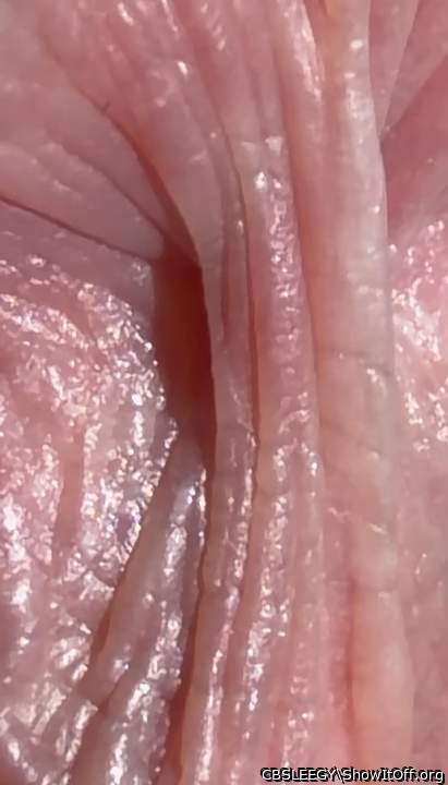 Frenulum Close-up