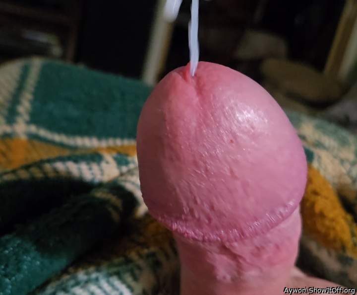 Adult image from Aywon