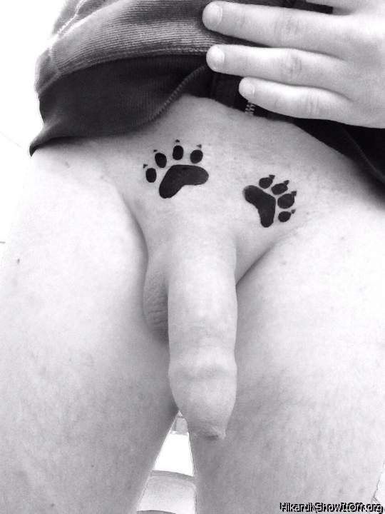 Paws