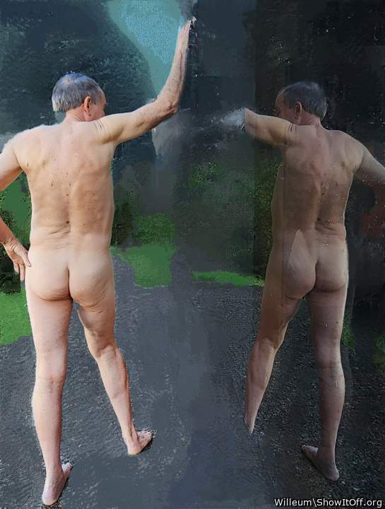 Adult image from Willeum