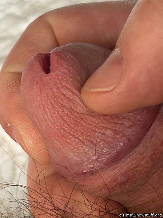 Adult image from cjsims