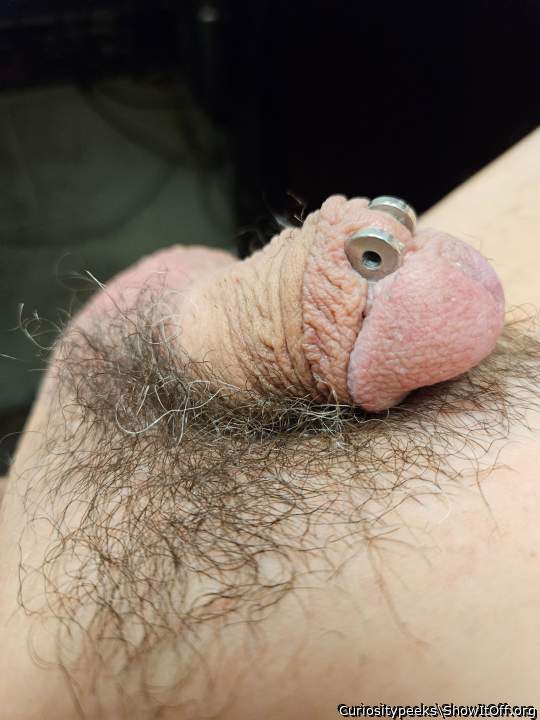 Very beautiful photo of the dick...  