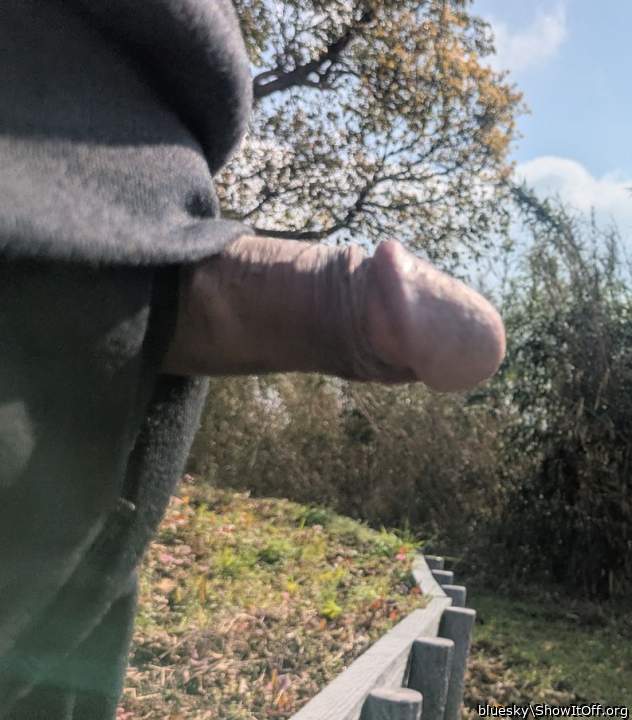 Nice outdoor hard cock🔥