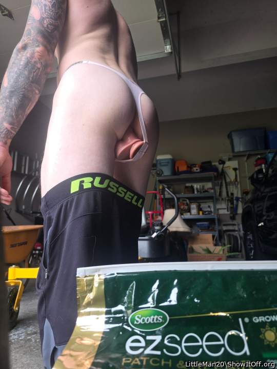 Adult image from LittleMan20