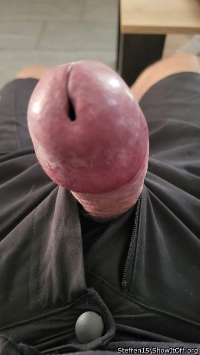 Adult image from Steffen15