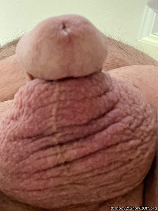 Adult image from ttimboy2