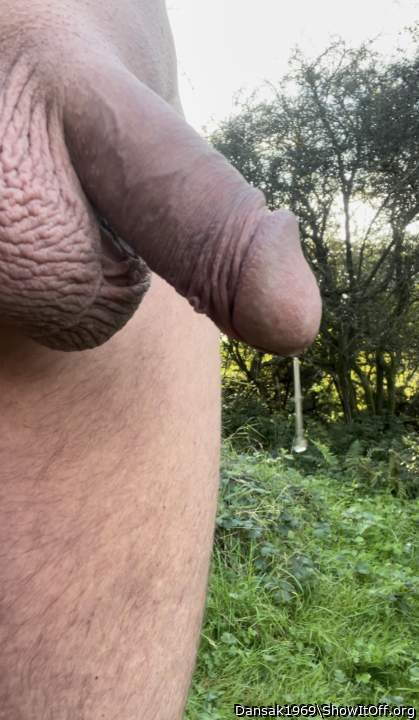 such a good looking Penis   