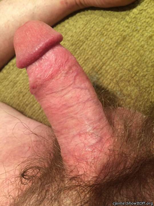Terrific cock pic   