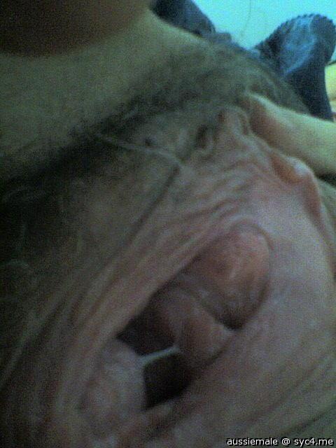 wet pussy for your mouth