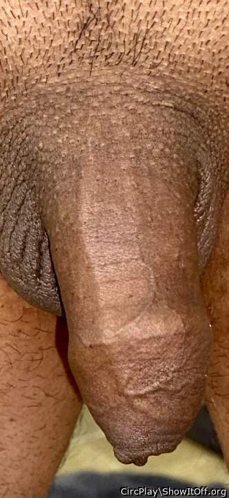 Adult image from CircPlay