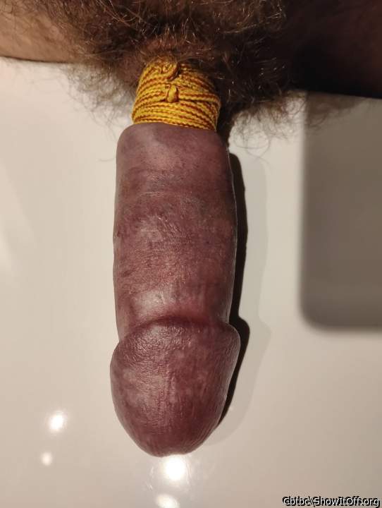 Adult image from Cbtbc