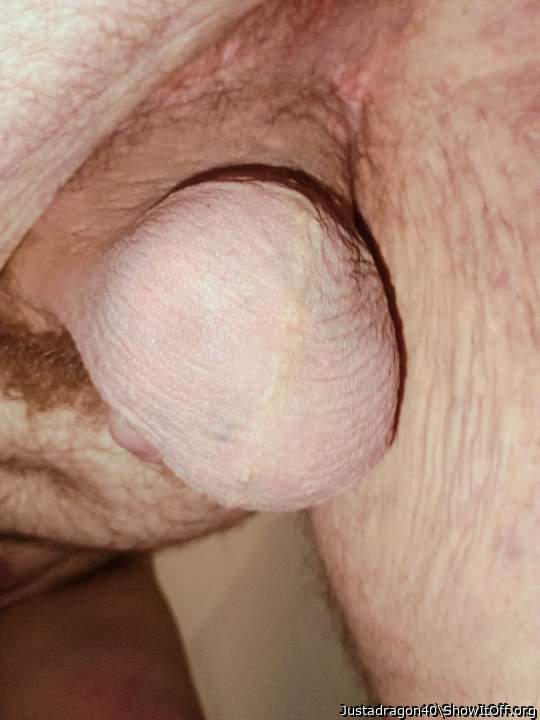 Adult image from Justadragon40