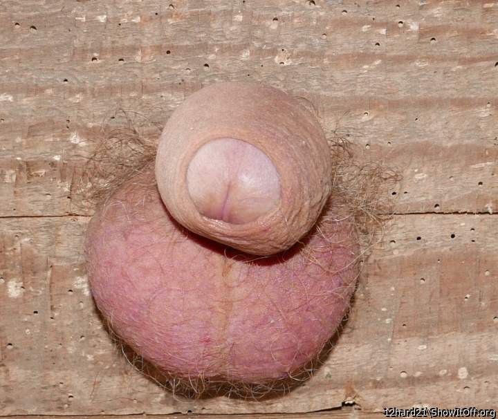 Adult image from 12hard21