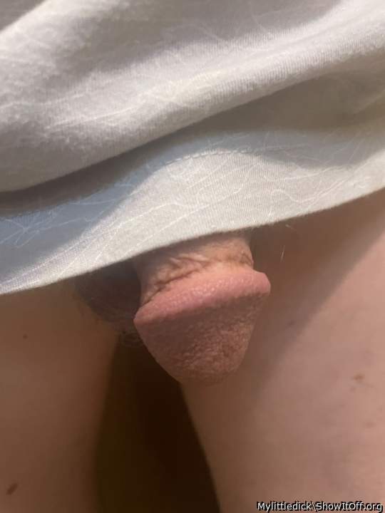 Adult image from Mylittledick