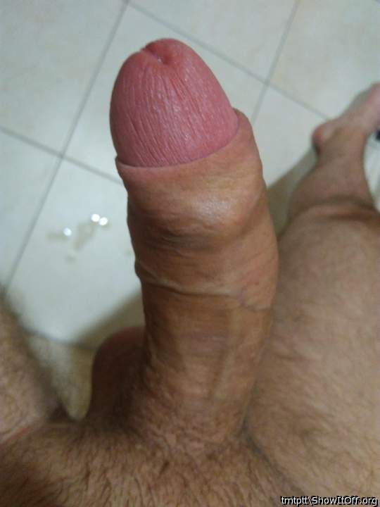 Adult image from tmtptt