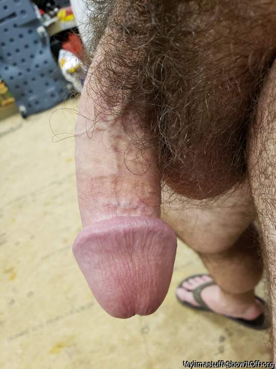 Nice hairy softie !   