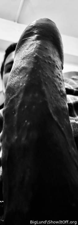 Adult image from BigLund