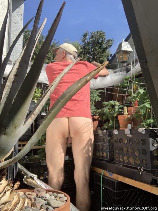 Adult image from sweetguyat70