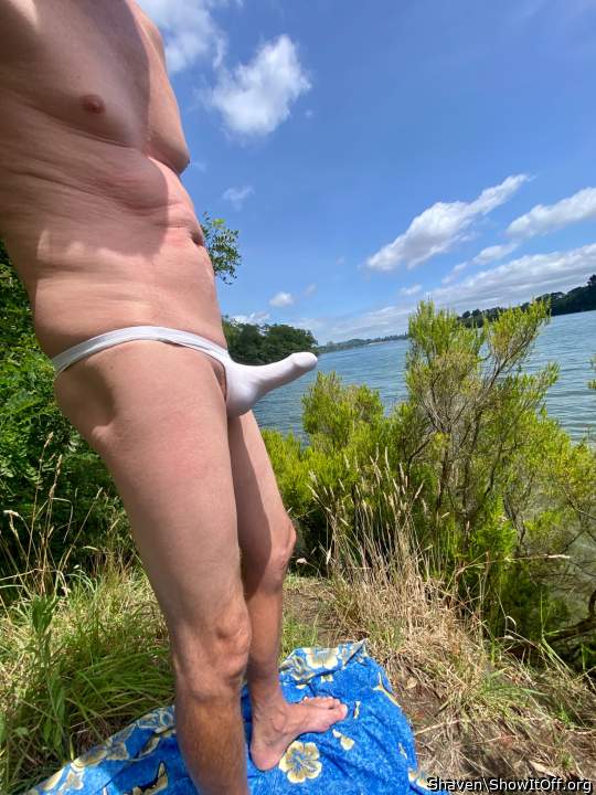 Adult image from Shaven