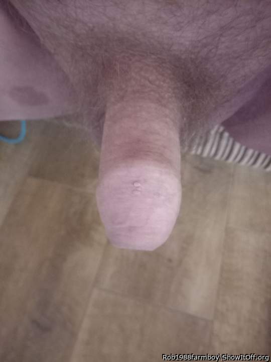 Adult image from Rob1988farmboy