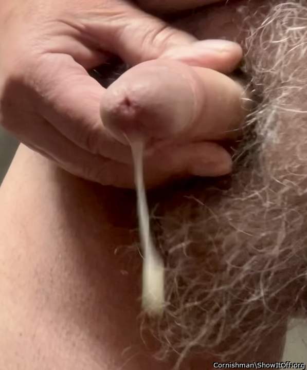 Adult image from Cornishman