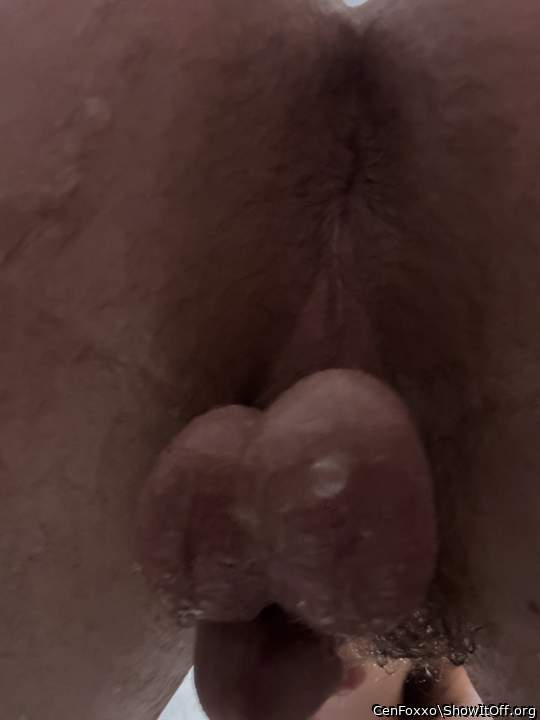 Adult image from CenFoxxo