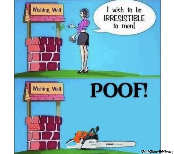 Adult image from Willd