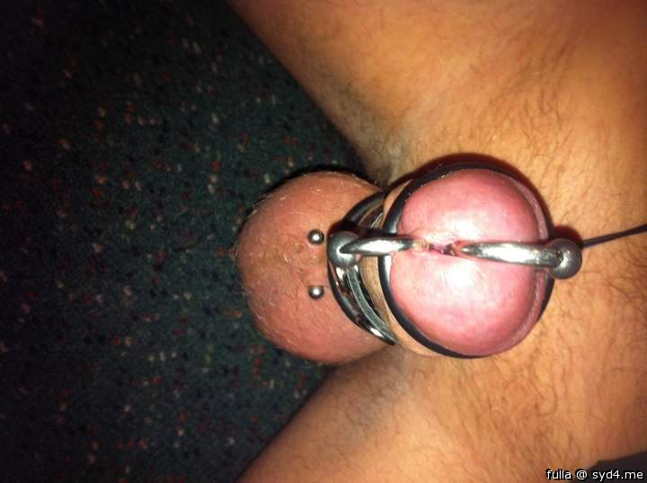 pierced knob with electrosex harness