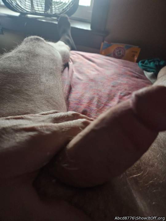 Adult image from Abcd8776