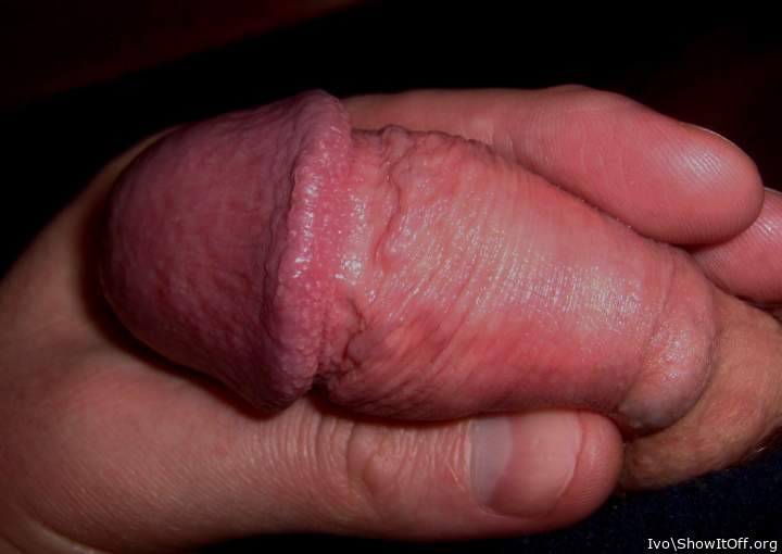 Flaccid penis with nude glans and retracted foreskin
