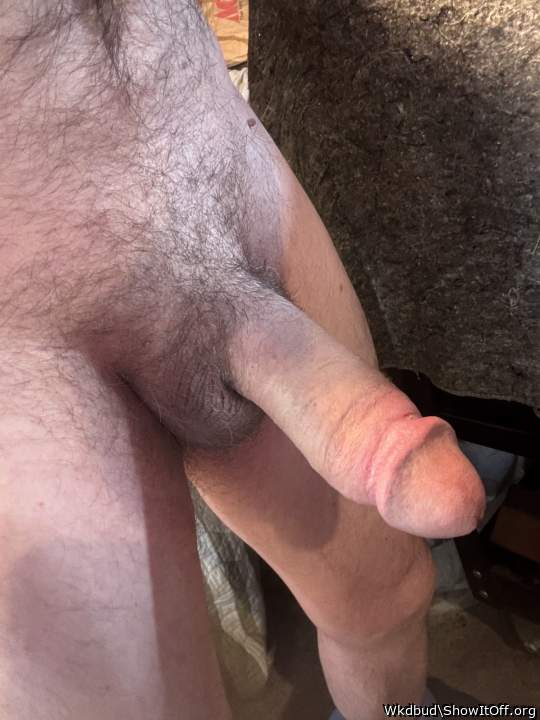 Adult image from Wkdbud