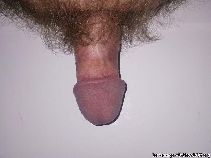 Adult image from Justadragon40