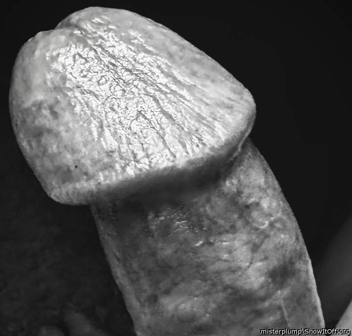 Adult image from misterplump