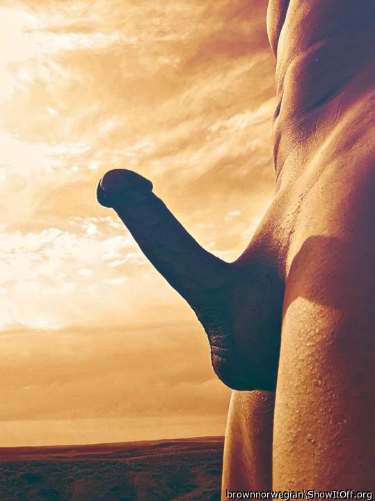 Penis Rising