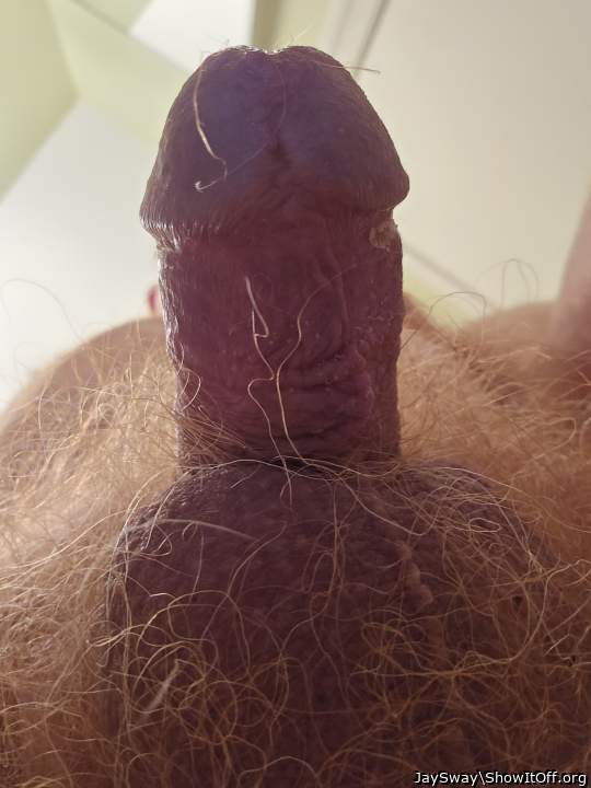 I AM IN LOVE WITH YOUR COCK   I AM A HOMOSEXUAL